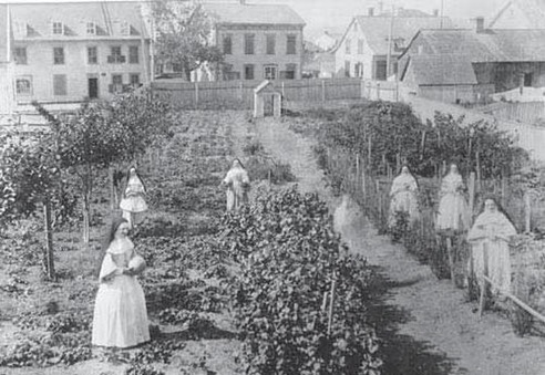 21 Février 2015-Jardin de l'Apothicairesse