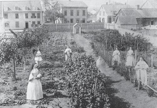 21 Février 2015-Jardin de l'Apothicairesse